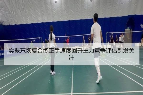 樊振东恢复合练正手速度回升主力竞争评估引发关注